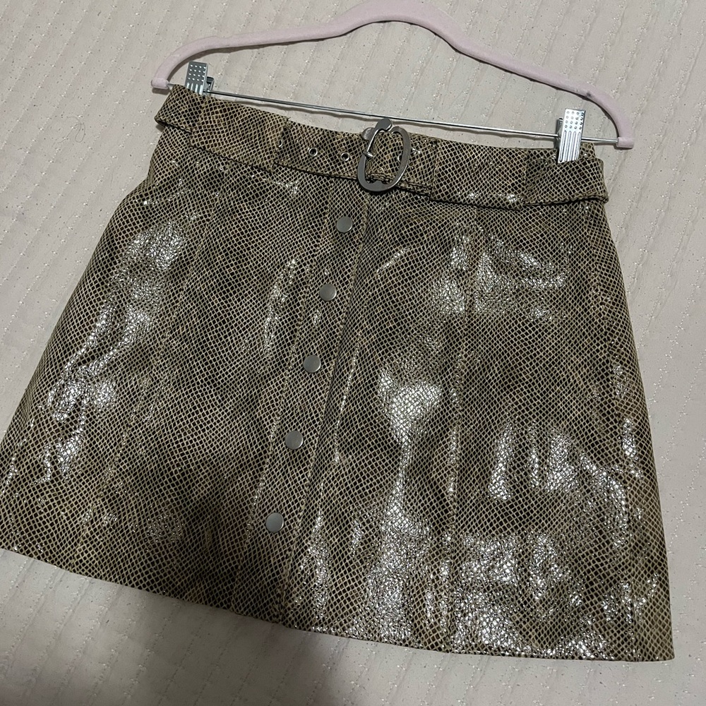 Zara Shimmering Silver A-Line Skirt